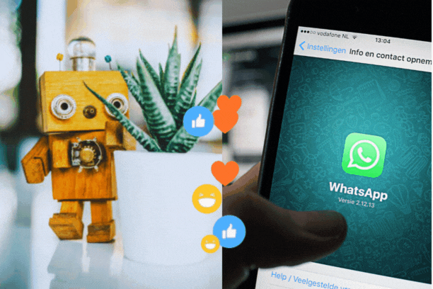 WhatsApp or Live Chat Support